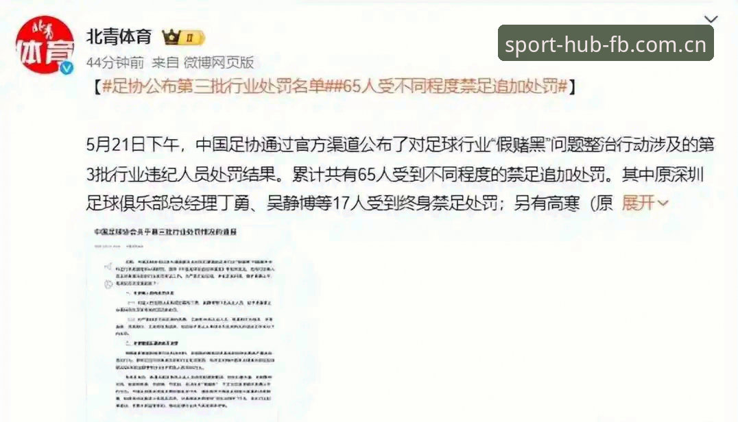 FB体育快速入口怎么下载 从足协最新禁足名单看体育诚信体系重构指南——FB体育平台用户赛事资讯深度解析